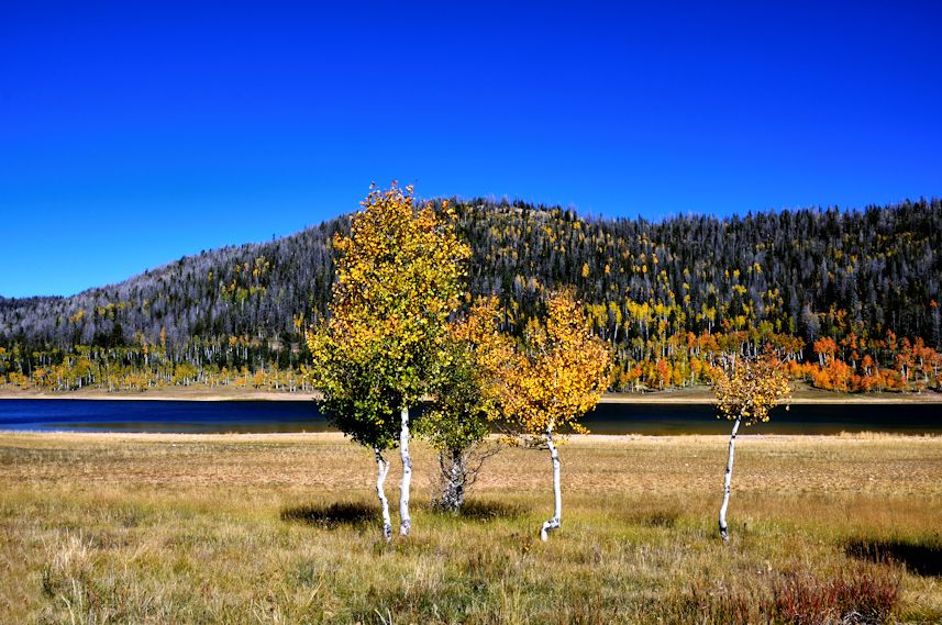 Navajo Lake