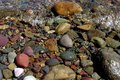 Beach Stones