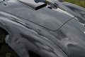 Cobra Paint Job.jpg