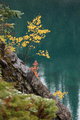 The Colors of Fall