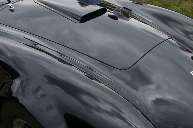Cobra Paint Job.jpg