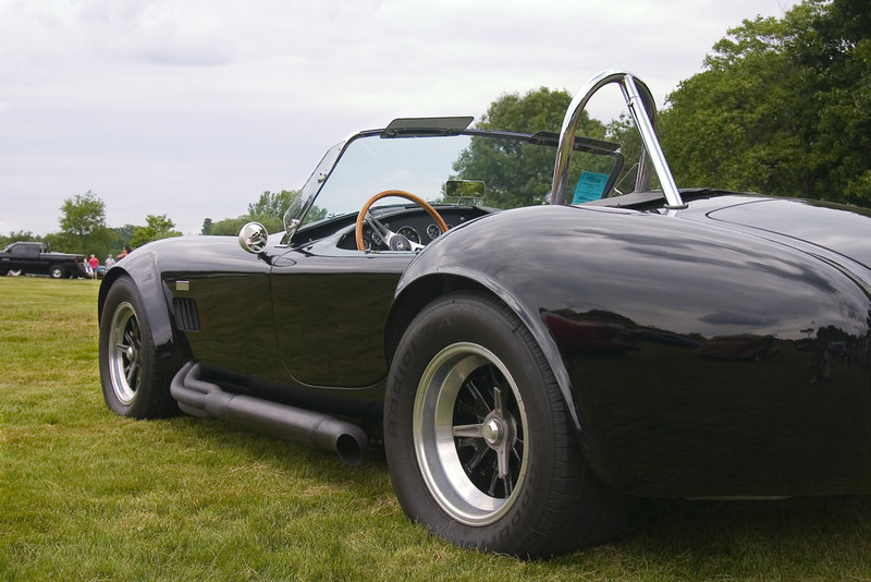 Cobra.jpg