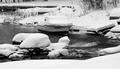 Snowboat B&W