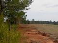 Along a fence line