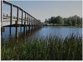 Jackson Park bridge