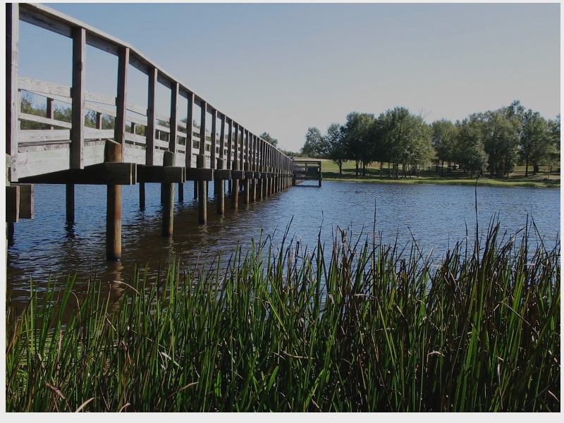 Jackson Park bridge