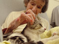 Pet therapy1