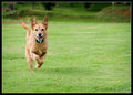 Bailey's coming.......