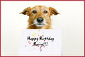 Happy Birthday Barry