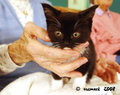 Baby Kat in the resthome