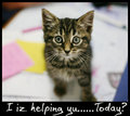 i-iz-helping.jpg