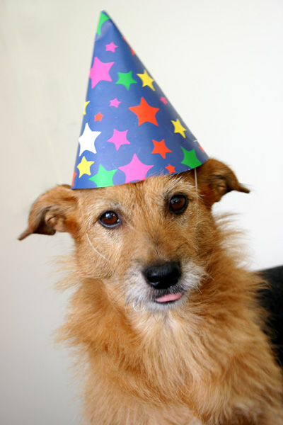 Bailey birthday girl