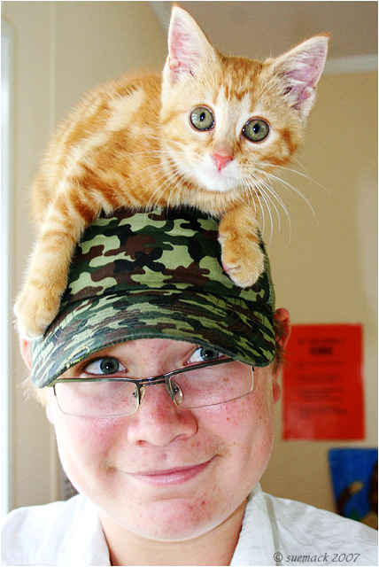 cat cap
