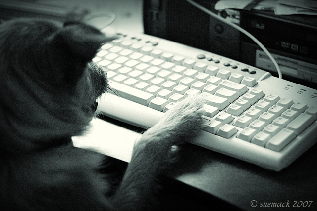 'office assistant'