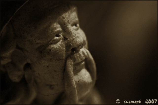 18. The Sage