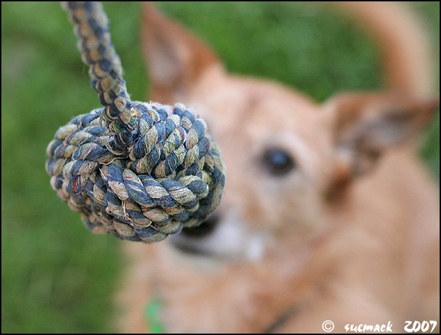 21. 'The Rope'