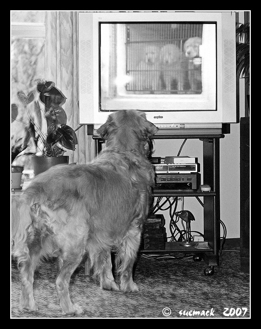 24. Watching tv