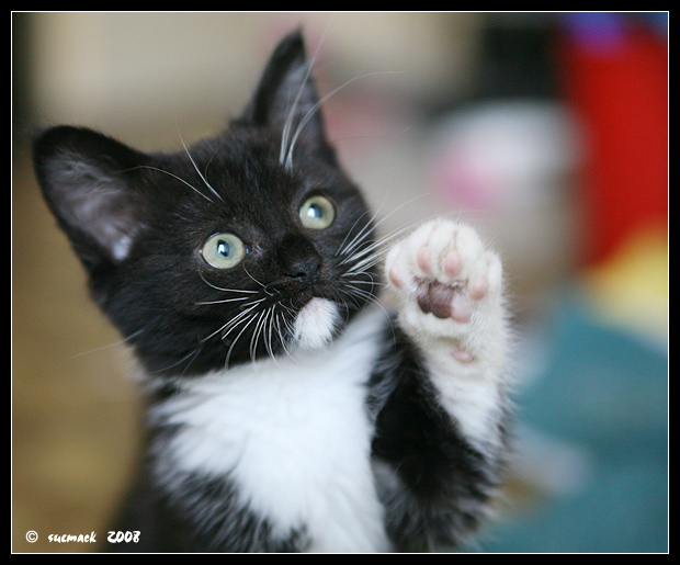 I promise to be good ............