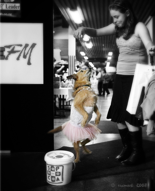 Little ballerina