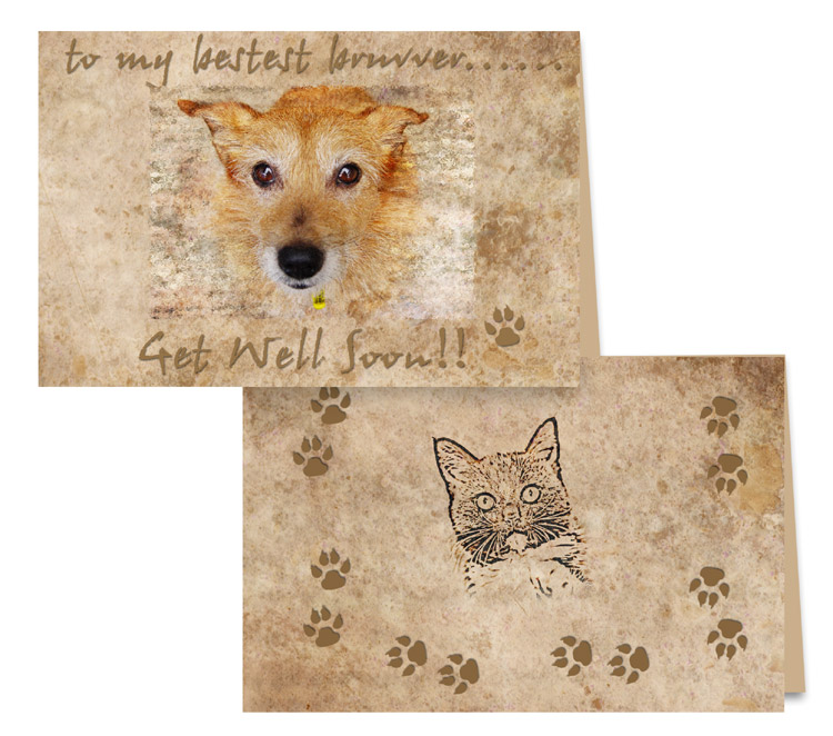 Bailey's get well card