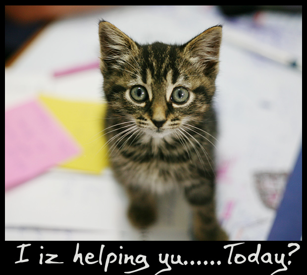 i-iz-helping.jpg