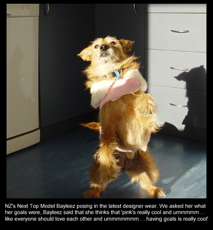 NZ's next Top Model