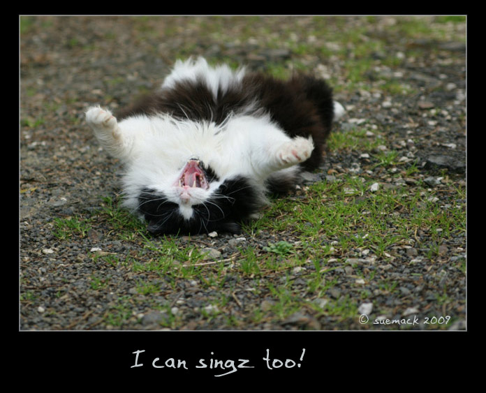 I can singz too