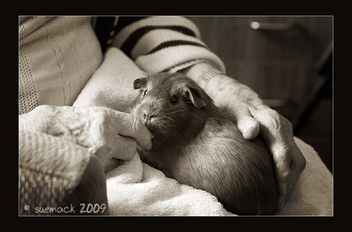 Zippi at the resthome