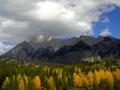 canadian rockies