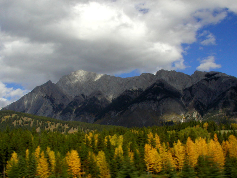 canadian rockies