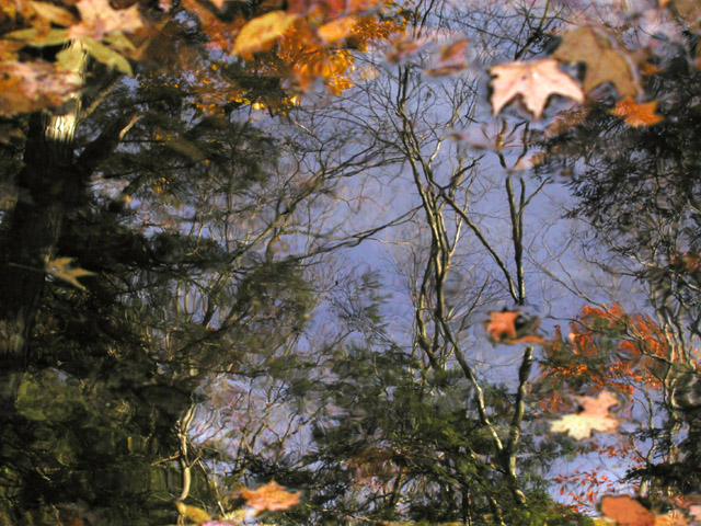 PA310117.1sm.jpg