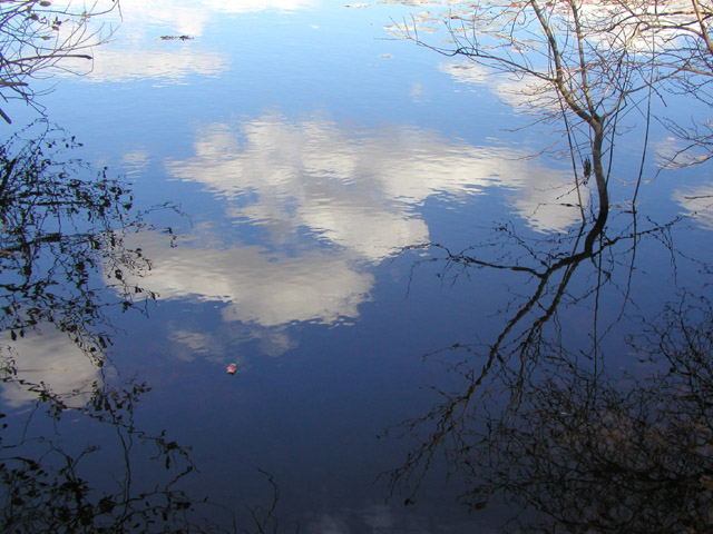 PA310037.1.jpg