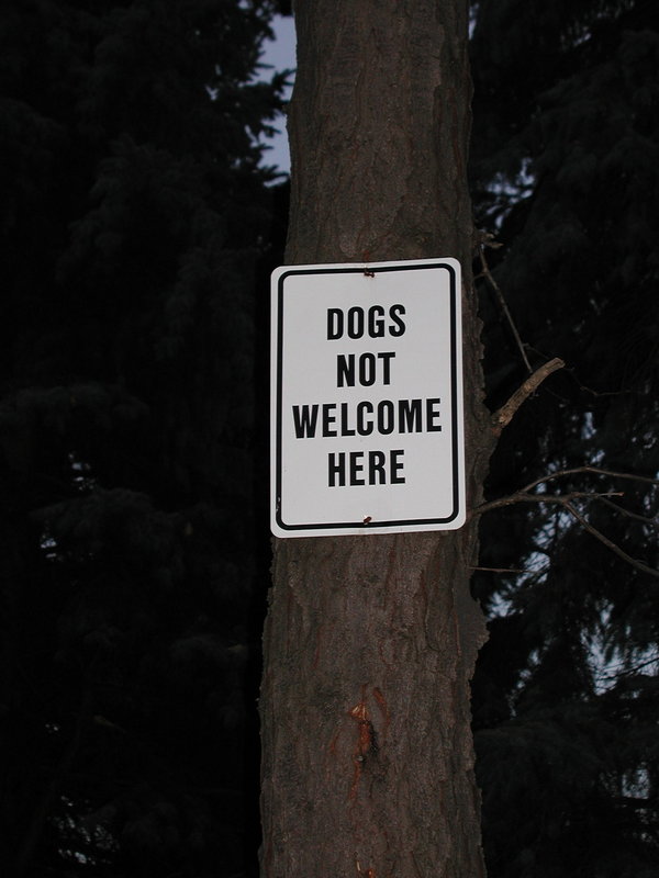dogs.jpg