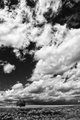 Eastern Plains Storm Clouds