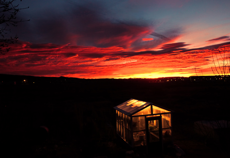 Sunrise Greenhouse