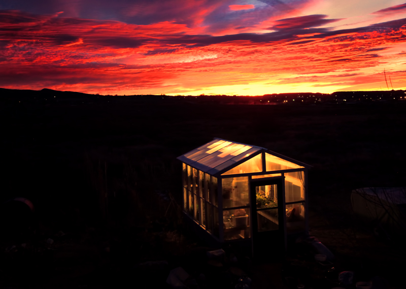 Morning Sky Greenhouse - January
