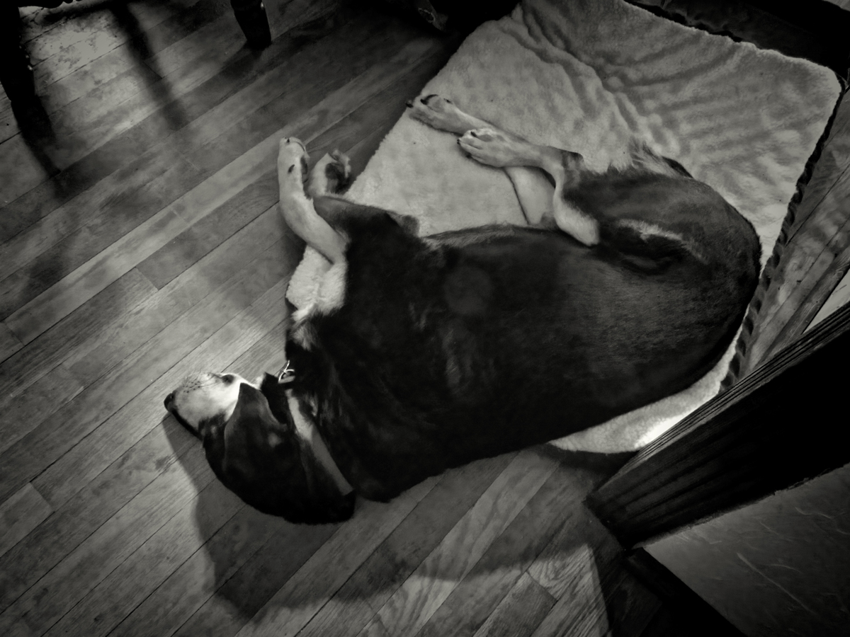 Sleeping on His New Bed