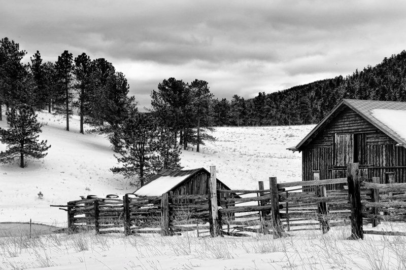 Snowy Landscape
