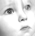 Elleeyes.jpg