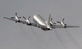 P3.jpg