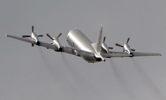 P3.jpg