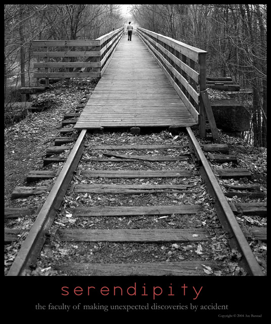 Serendipity