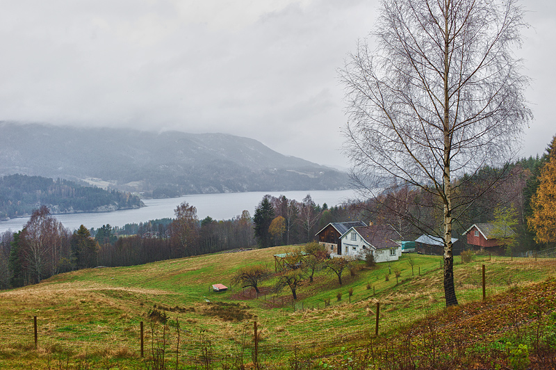 Life on the farm in Telemark