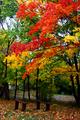 magnificant fall