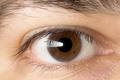 thru the eyes