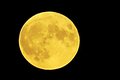 Golden Moon