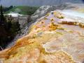 Mammoth YNP