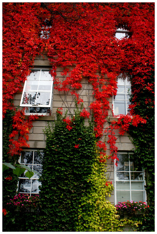Rising Fall