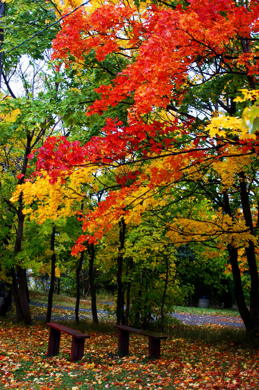 magnificant fall