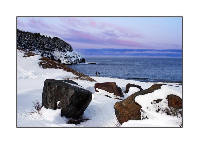 white shore
